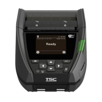 Принтер для печати этикеток TSC ALPHA-30L A30L-A001-1002, WI-Fi / Bluetooth, 203 dpi. отделитель
