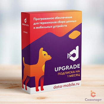 DataMobile Upgrade - подписка на 1 месяц